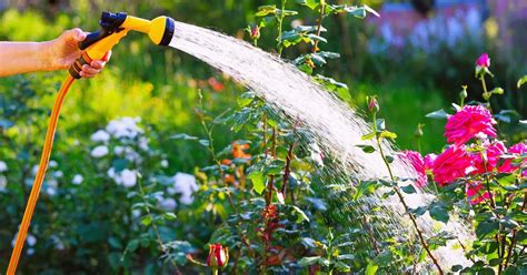 hosepipe ban crawley|Hosepipe ban lifted for Sussex residents